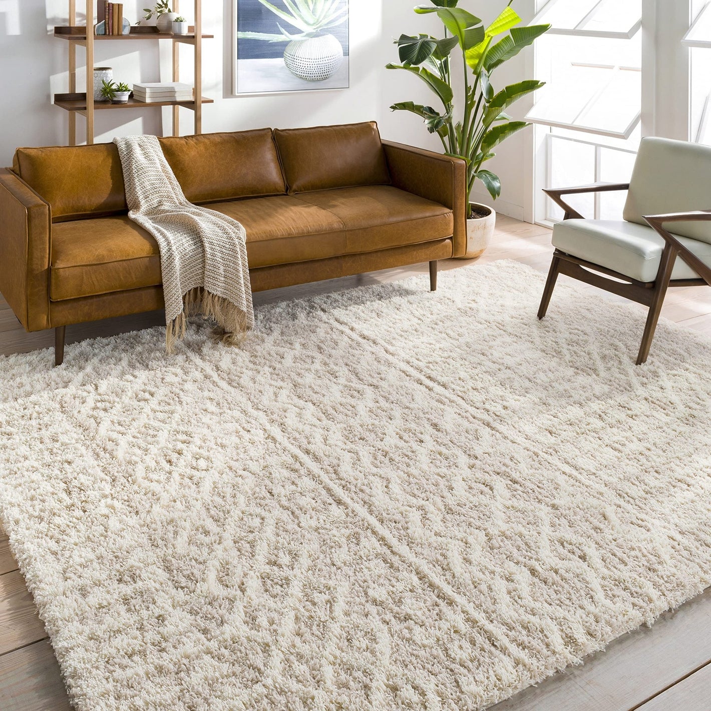 Area Rugs & Mats