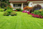 Lawn & Garden