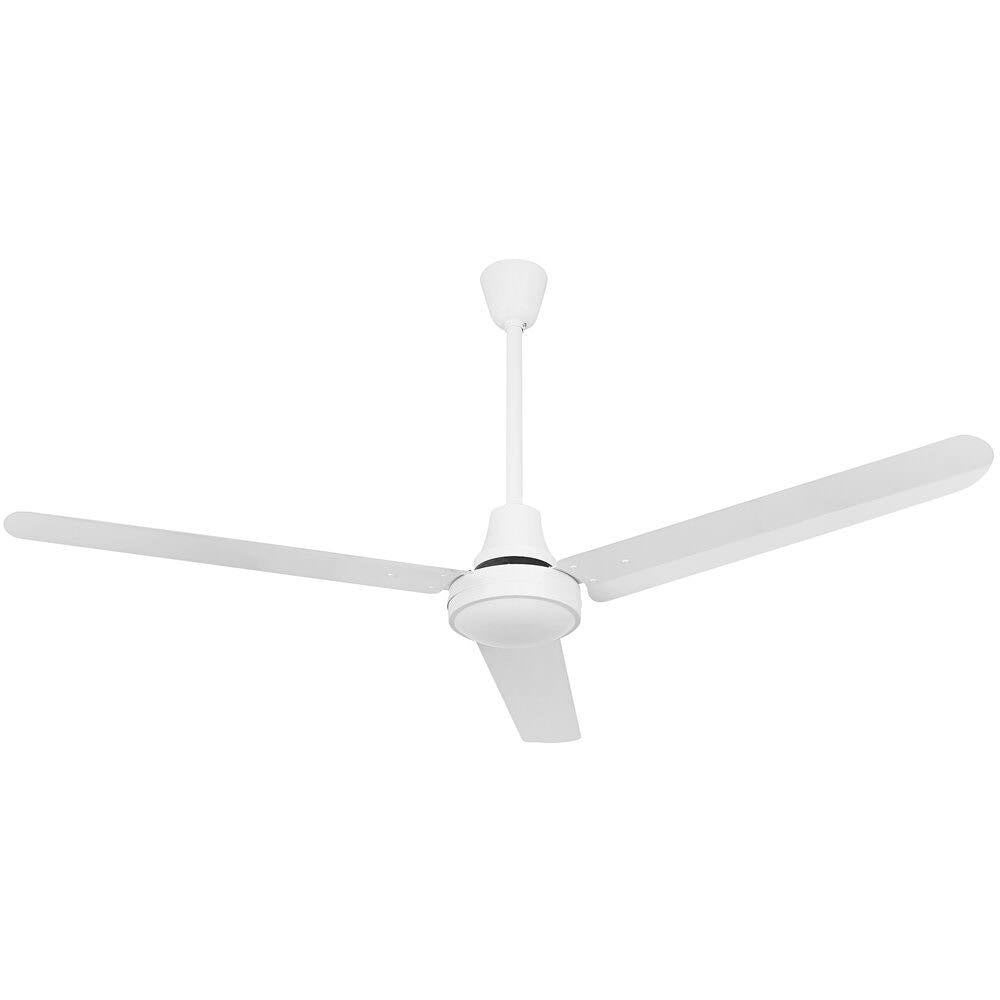 White Ceiling Fans