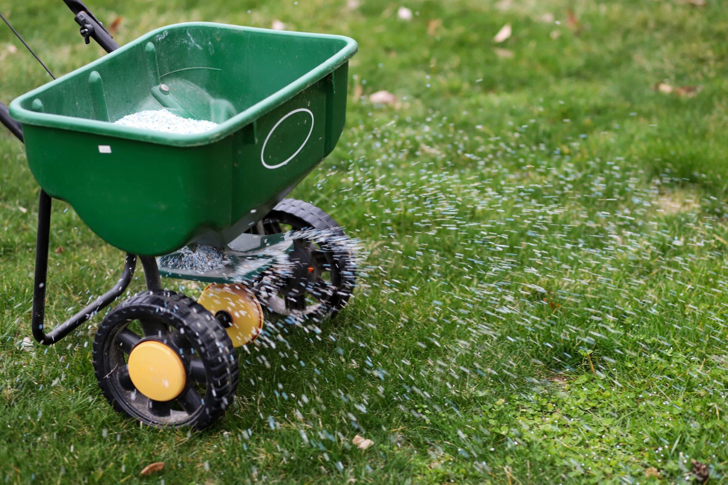 Fertilization & Lawn Control