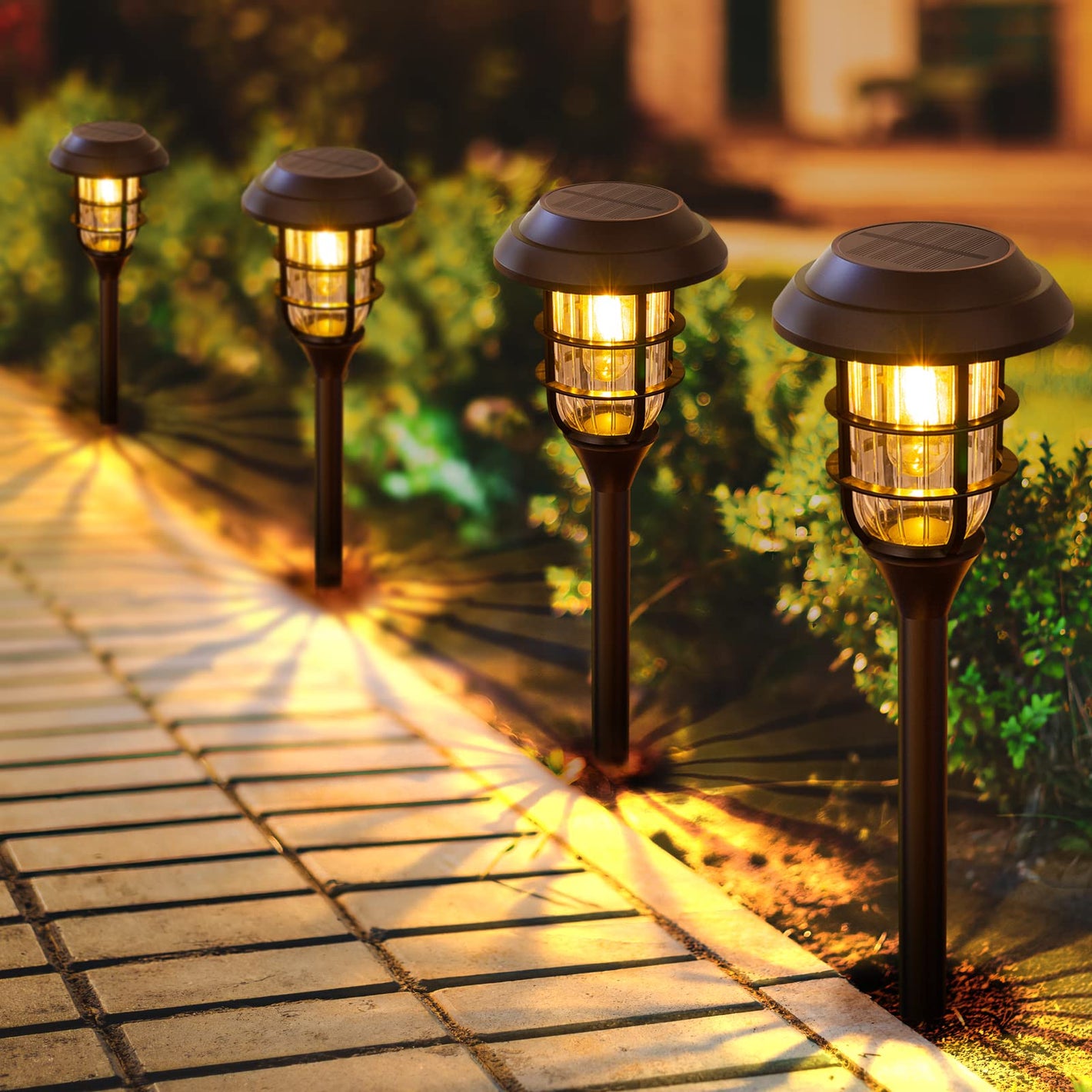 Landscape Lighting