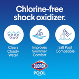 Clorox Pool&amp;Spa paquete de 6 amortiguadores para piscina de 16 oz