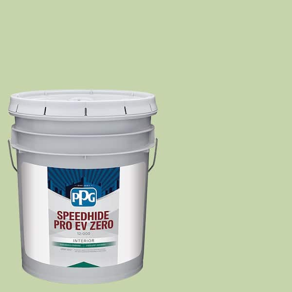 Speedhide Pro EV Eggshell Interior Paint, Pistachio Pudding