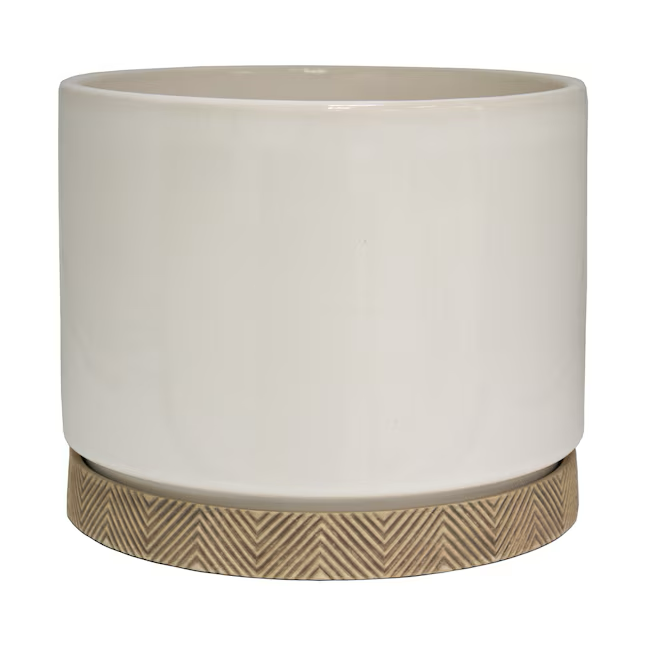 allen + roth Round 10.0-Inches W Medium White Ceramic Indoor Planter with Drainage Holes Attached Saucer