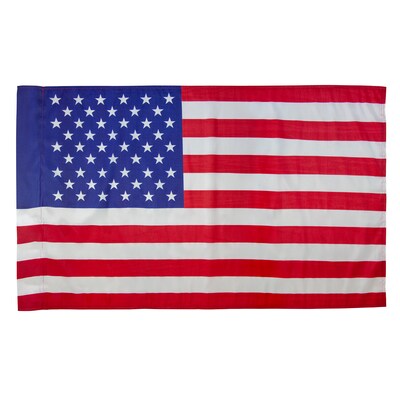 Valley Forge Flag 4.25-ft W x 5-ft H Patriotic Banner