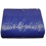 Project Source 30-ft x 20-ft Blue Waterproof Standard Polyethylene 5-mil Tarp