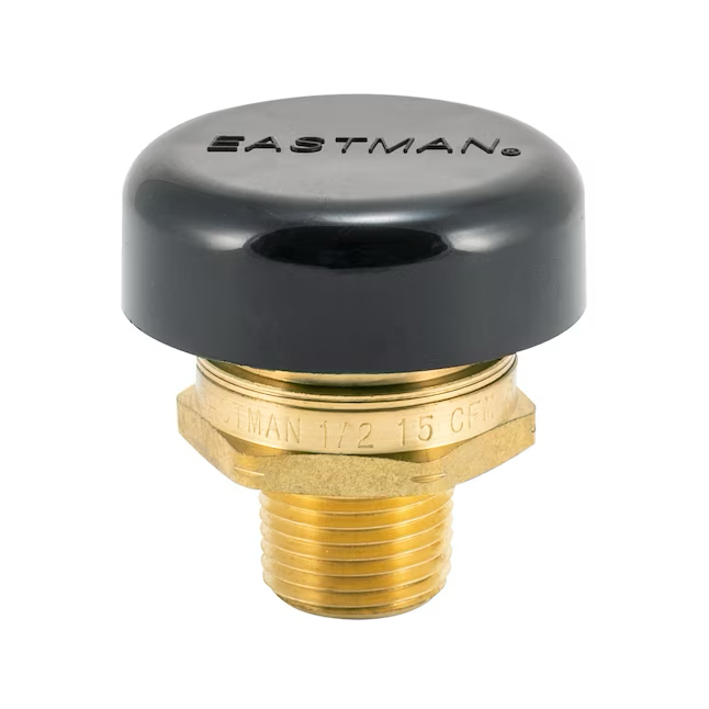 Eastman Brass 1/2-in Mip Vacuum Relief Valve