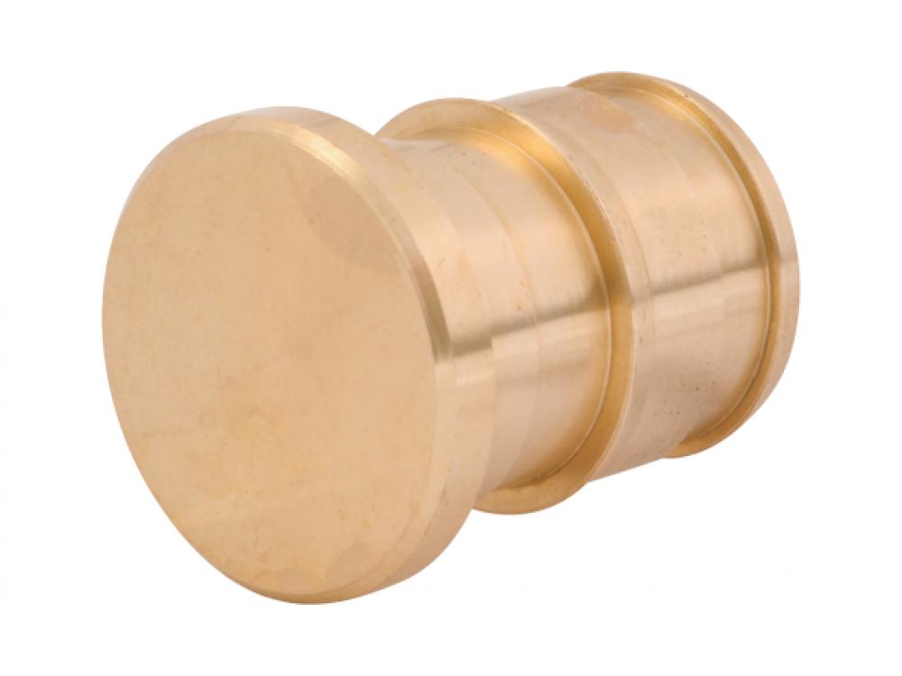 SharkBite 1/2 in. Brass Expansion Plug