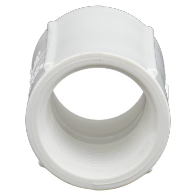 Charlotte Pipe 3/4-in Schedule 40 PVC Coupling