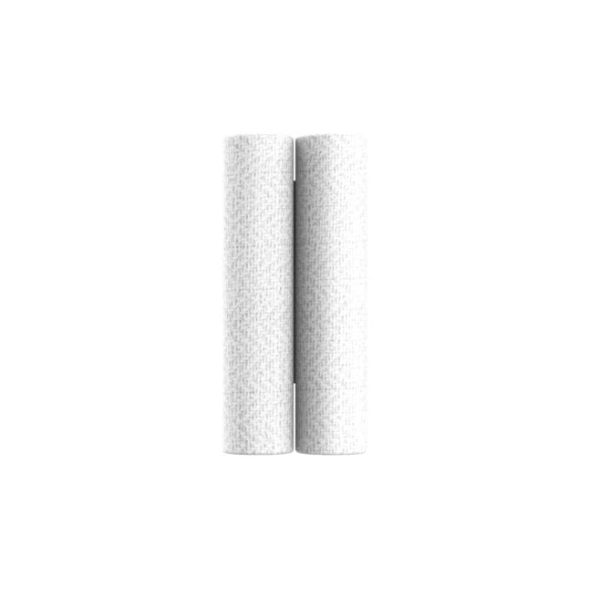 Project Source Whole Home Standard (WHS) Sediment and Particulate Whole House Replacement Filter (Pack of- 2)