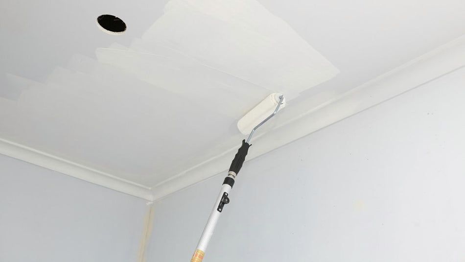 Paint Ceilings (3-Bed/2-Bath)