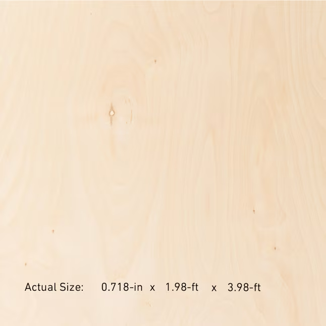 3/4-in x 2-ft x 4-ft Birch Sanded Plywood