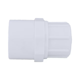 Charlotte Pipe 3/4-in x 1/2-in Schedule 40 PVC Reducing Female Adapter