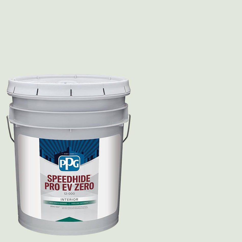 Speedhide Pro EV Eggshell Interior Paint, Summer Rain