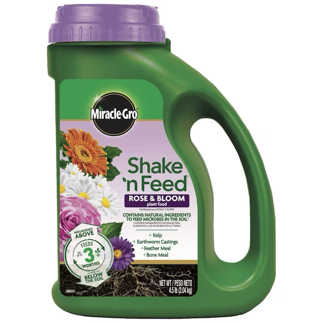 Miracle-Gro Shake 'N Feed Rose and Bloom 4.5-lb Granules Flower Food