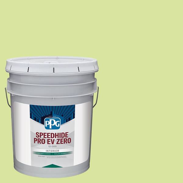 Speedhide Pro EV Eggshell Interior Paint, Curious