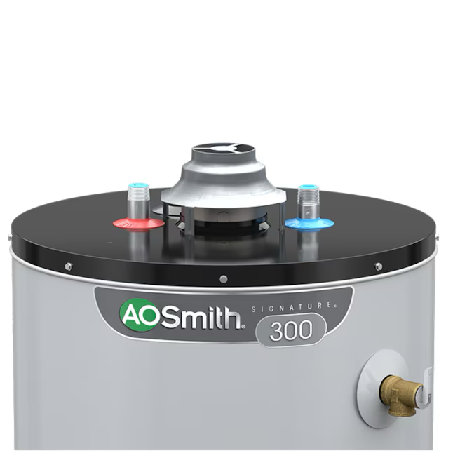 AO Smith Signature 300 40-Gallonen hoch 12 Jahre begrenzte 40000-BTU Erdgas-Warmwasserbereiter