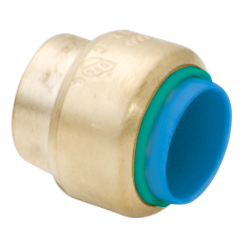 Eastman 1/2 in. Brass Push-Fit End Cap