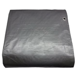 Project Source 30-ft x 20-ft Silver Waterproof Standard Polyethylene 10-mil Tarp