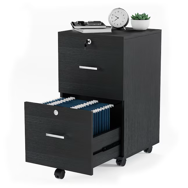 Winado Black 2-Drawer 15.75-in File Cabinet