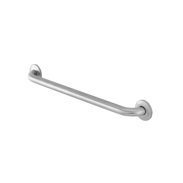 Project Source Concealed Screw 24-in Stainless Wall Mount ADA Compliant Grab Bar (500-lb Weight Capacity)