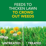 Scotts Turf Builder Weed and Feed5 11.32-lb 4000-sq ft 28-0-3 All-purpose Weed & Feed Fertilizer