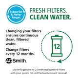 A.O. Smith Clean Water System Remineralizer and Set Under Sink Replacement Filter