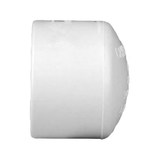 Charlotte Pipe 3/4-in Schedule 40 PVC Socket Cap