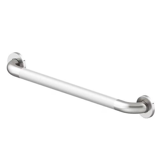 Project Source Concealed Peened 24-in Stainless Steel Wall Mount ADA Compliant Grab Bar (500-lb Weight Capacity)