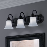 Project Source Shaker Park 24.09-in 3-Light Oil-Rubbed Bronze Traditional Vanity Light