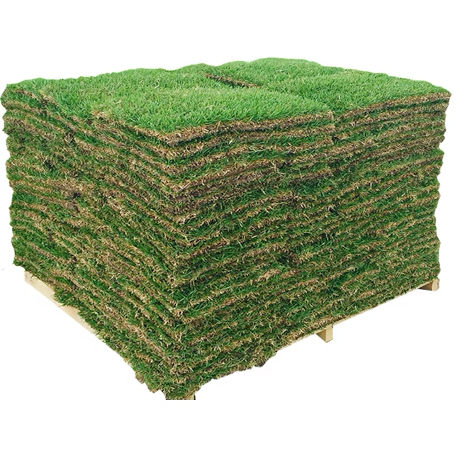 Harmony Outdoor Brands 500-sq ft Natural Bermuda Sod Pallet