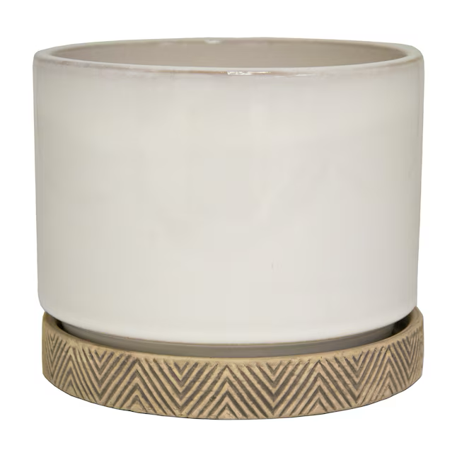 allen + roth Round 7.99-Inches W Small White Ceramic Indoor Planter with Drainage Holes Attached Saucer