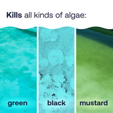 Prevención química de algas para piscinas, alguicida para piscinas HTH de 32 onzas