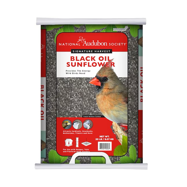 National Audubon Society Vogelfutter mit Sonnenblumenöl, 20 lb