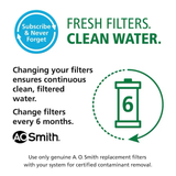 A.O. Smith Advanced Direct Connect Carbon Block Under Sink Replacement Filter