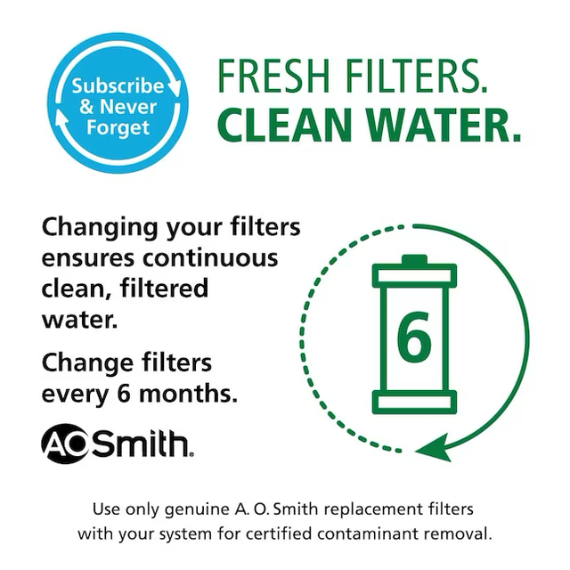 A.O. Smith Advanced Direct Connect Carbon Block Under Sink Replacement Filter