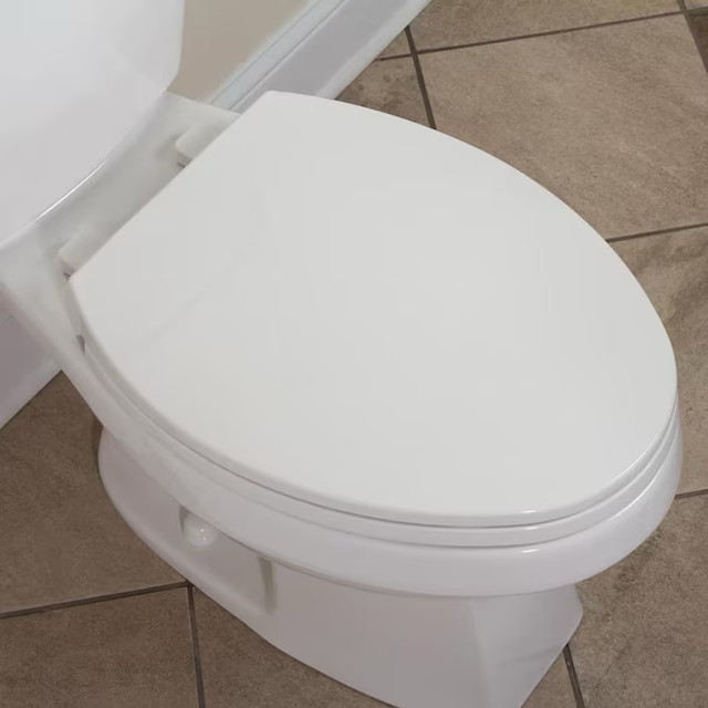 Project Source Plastic White Elongated Soft Close Toilet Seat