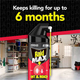 Raid Max Ant and Roach Pesticide - 14.5oz