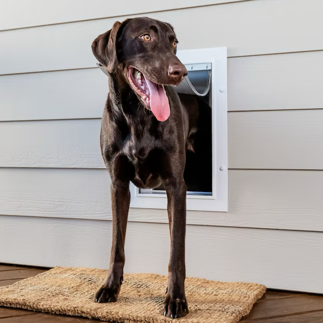 PetSafe Puerta grande de plástico blanco para perros o gatos de 14-1/4 x 21-1/16 pulgadas para pared 