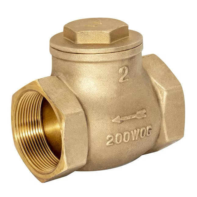 EZ-FLO 2-in Swing Check Valve