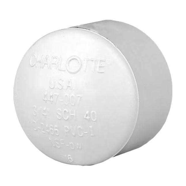 Charlotte Pipe 3/4-in Schedule 40 PVC Socket Cap