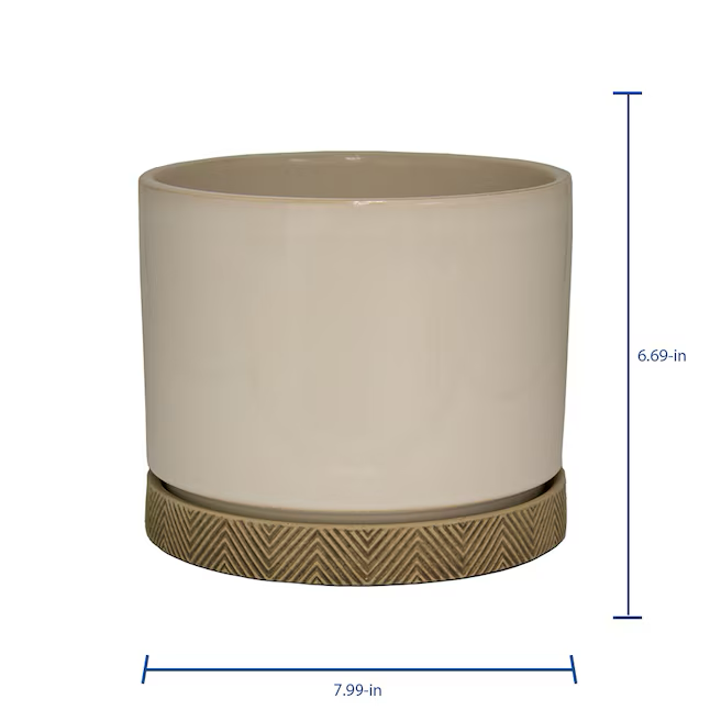 allen + roth Round 7.99-Inches W Small White Ceramic Indoor Planter with Drainage Holes Attached Saucer