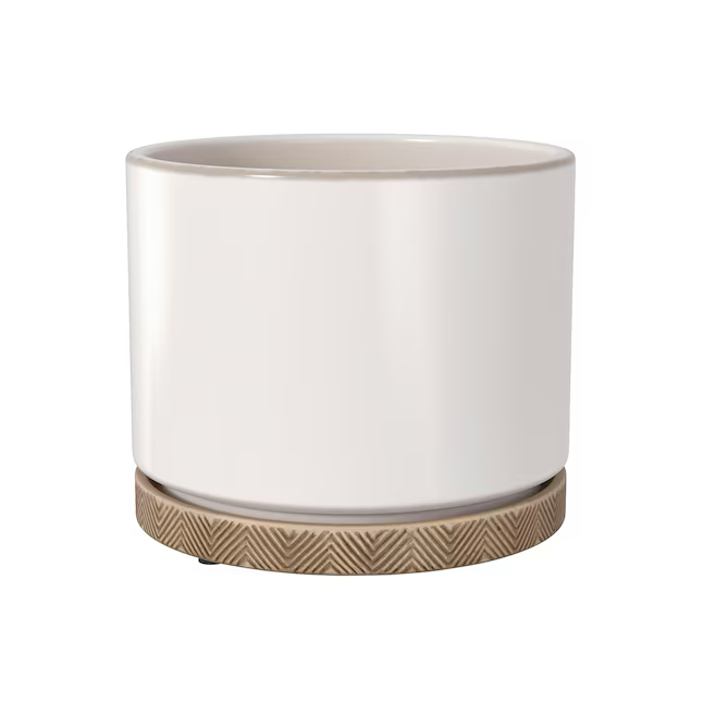 allen + roth Round 5.04-Inches W Medium White Ceramic Indoor Planter with Drainage Holes Attached Saucer