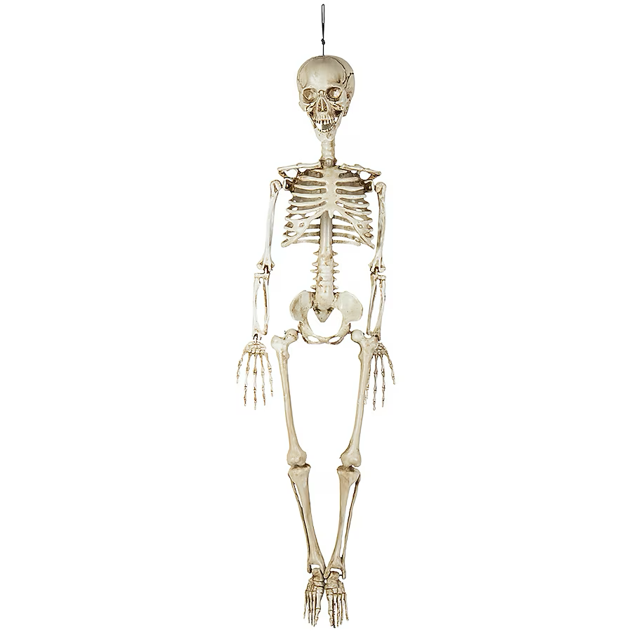 Haunted Living 3-ft Hanging Skeleton Decoration