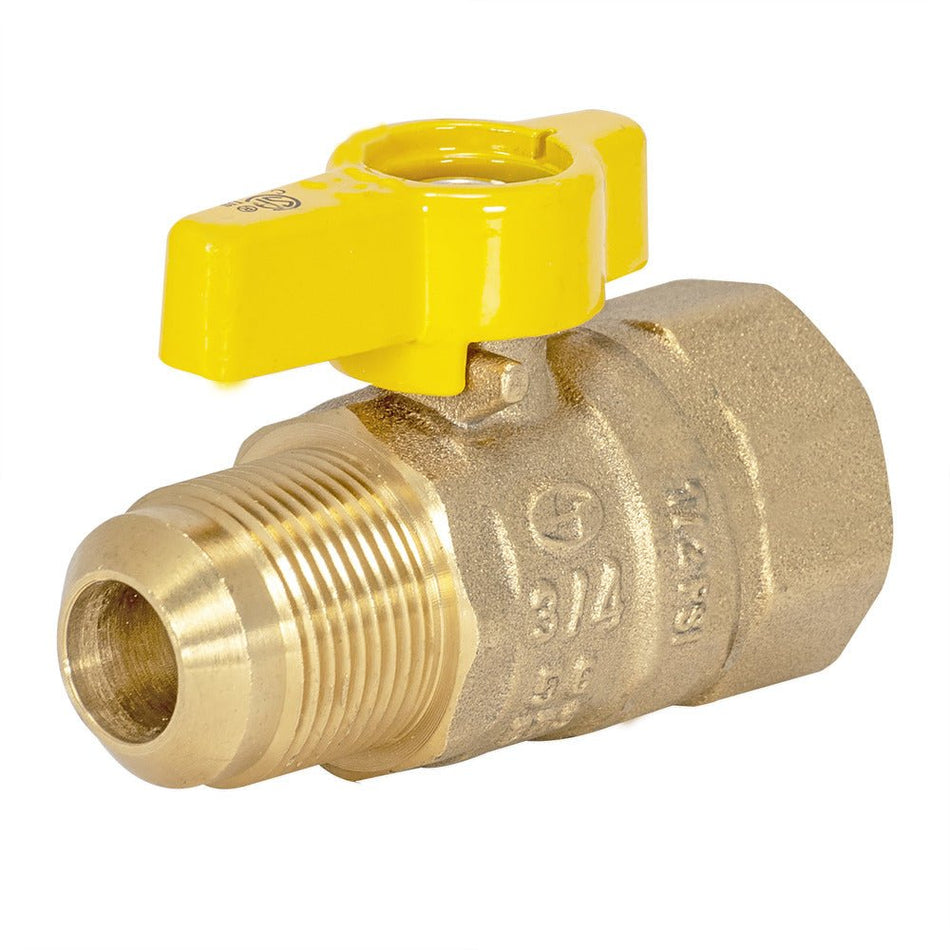 Eastman 5/8 in. Flare x 3/4 in. FIP Gas Straight Ball Valve