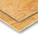 Plytanium Revestimiento de madera contrachapada de pino clasificado de 3/8 pulg. x 4 pies x 8 pies