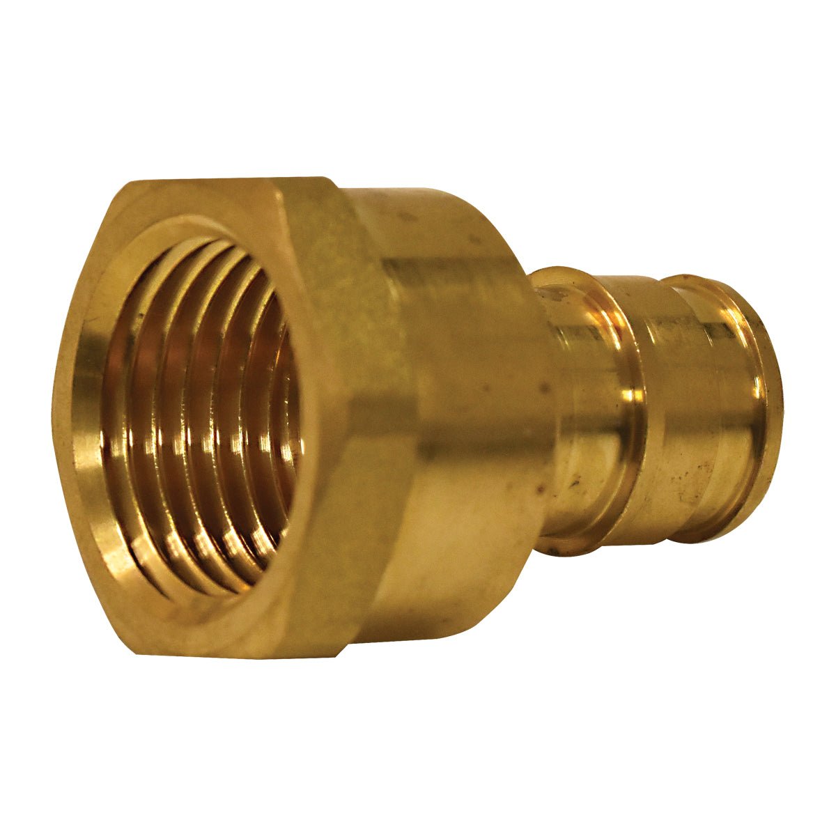 Eastman Expansion PEX Female Adapter – 3/4 in PEX. x 3/4 in. FIP