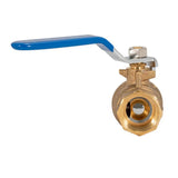 Eastman 3/4 in. IPS Heavy-Duty Full Port Ball Valve