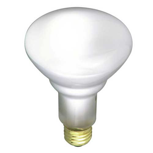 Satco 65W BR30 Bulb