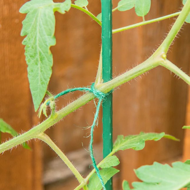 Cinta azul de jardinero, cordel de yute verde de 200 pies